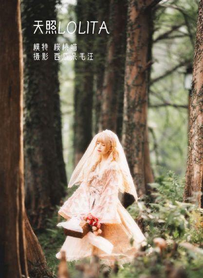 国产理论片免费观看_DVD在线手机播放